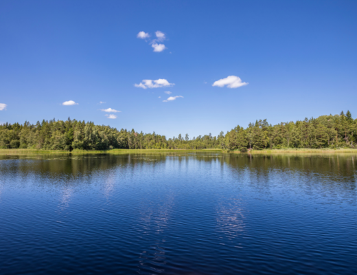 Wypoczynek nad jeziorem